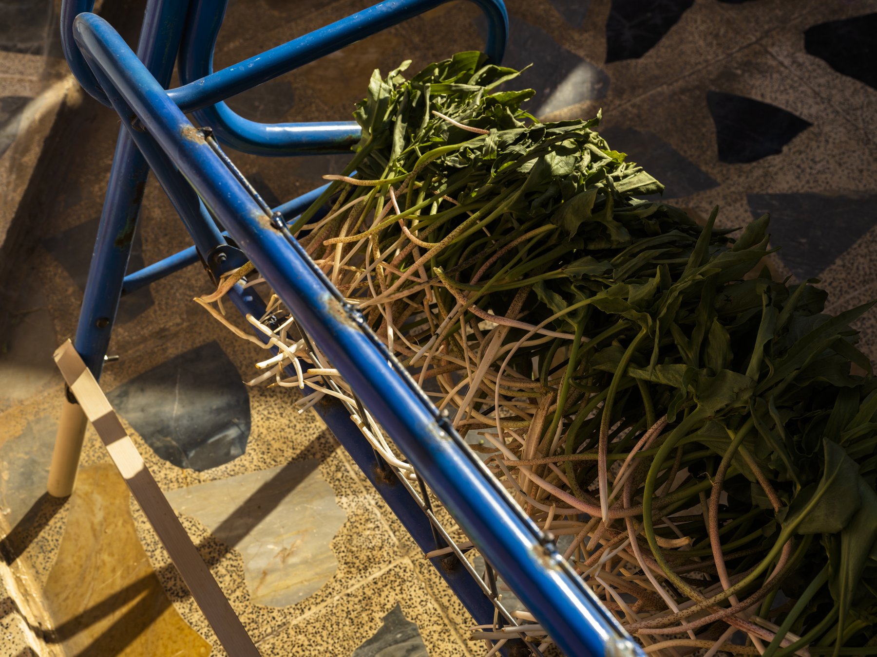 Overhead view of foraged greens piled on a blue metal cart